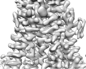 Example of near atomic resolution EM density map displaying clear secondary structure, side chains, as well as density characteristic of bound cholesterol molecules